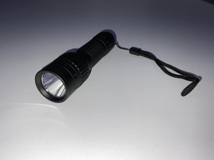 LAMPE TORCHE OUTDOOR MT1 350